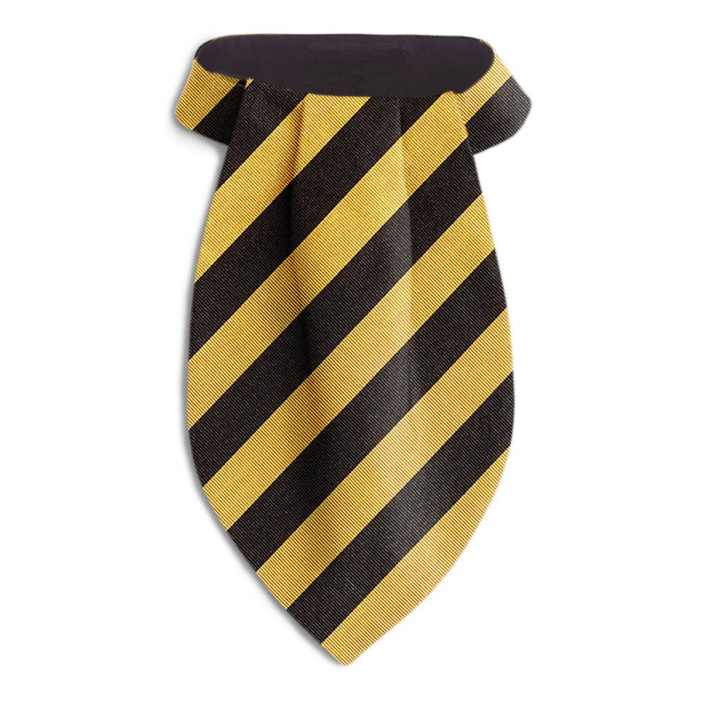 Academy Black and Gold - Ascots - Beau Ties of Vermont