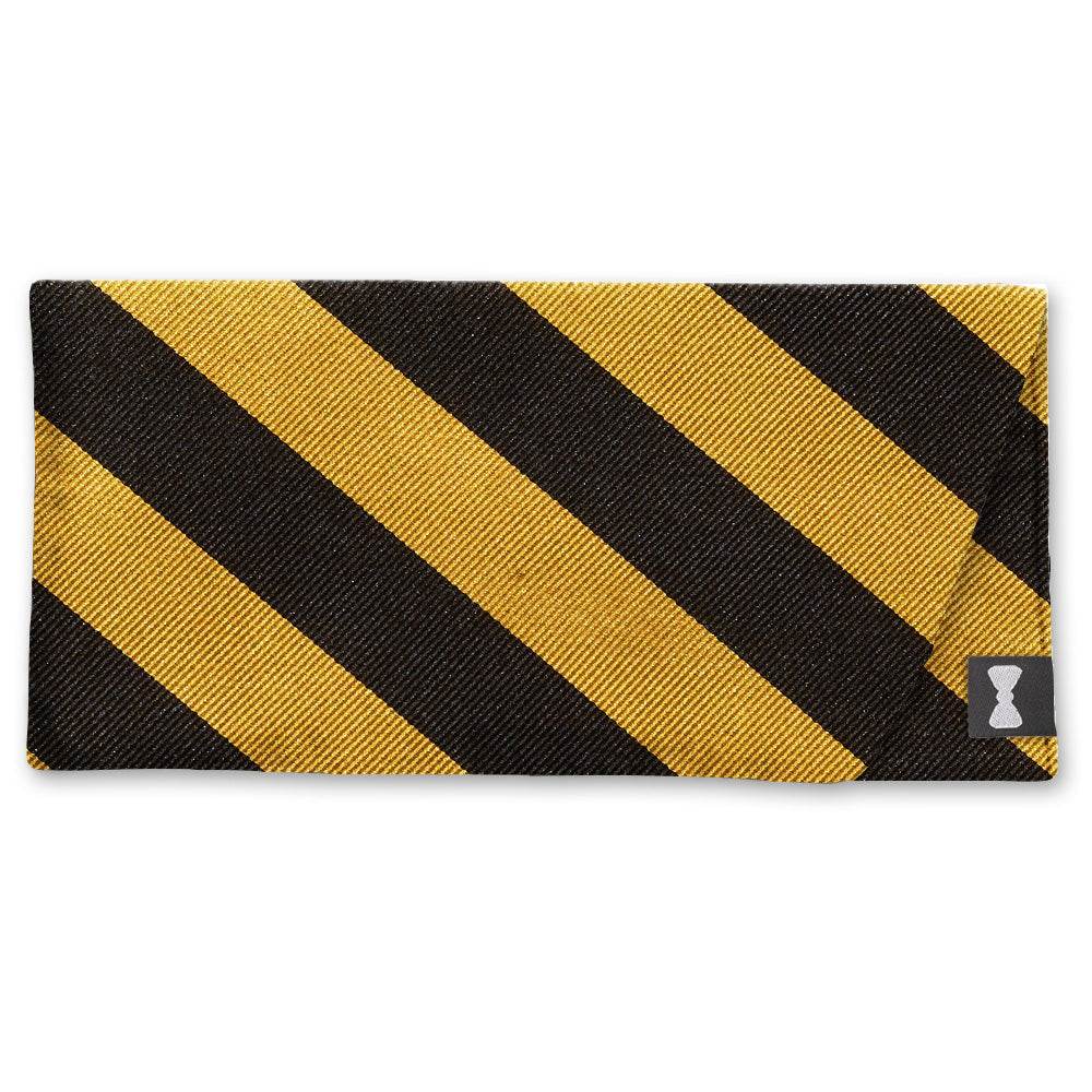 Academy Black and Gold - Eyeglass Cases - Beau Ties of Vermont