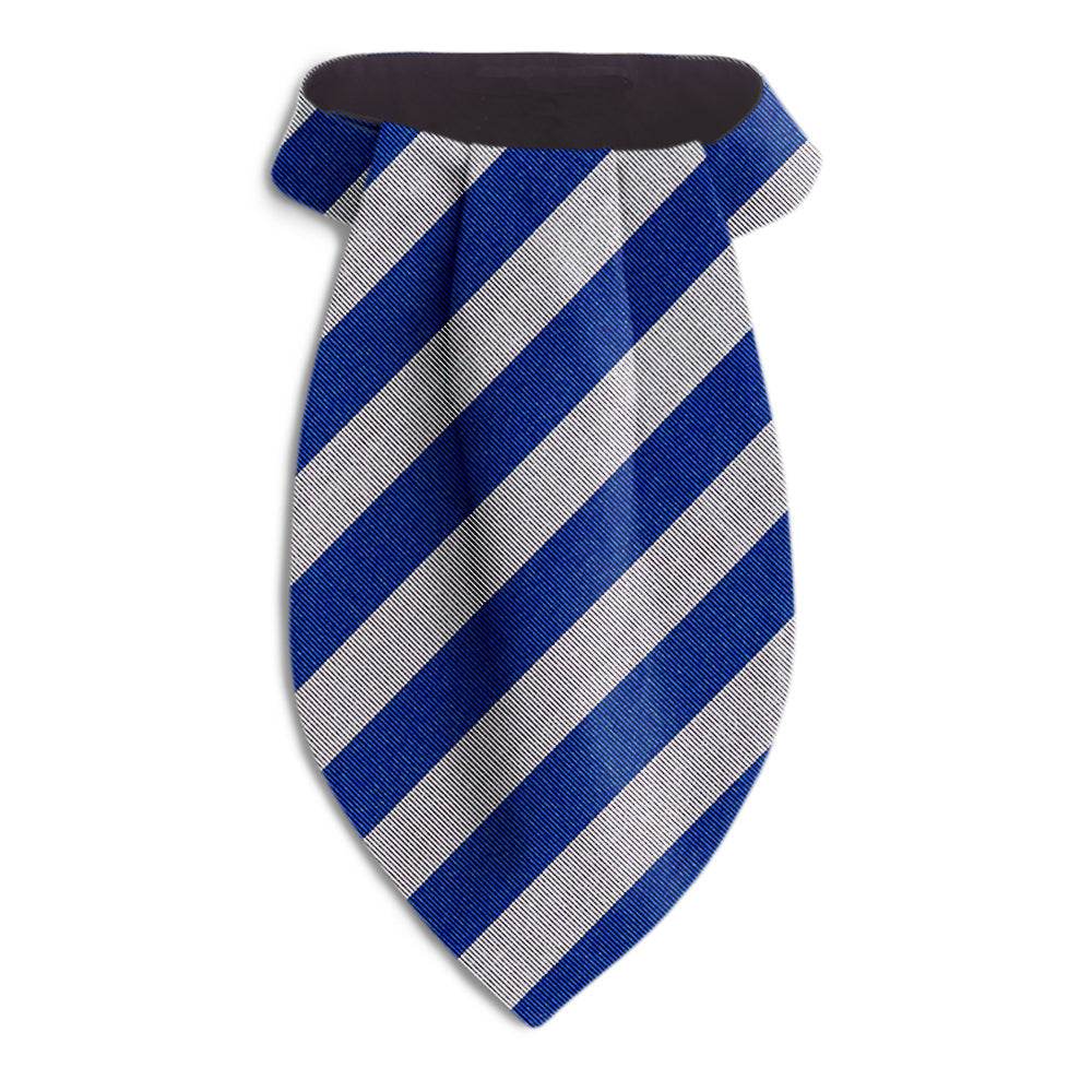 Academy Blue and Silver - Ascots - Beau Ties of Vermont