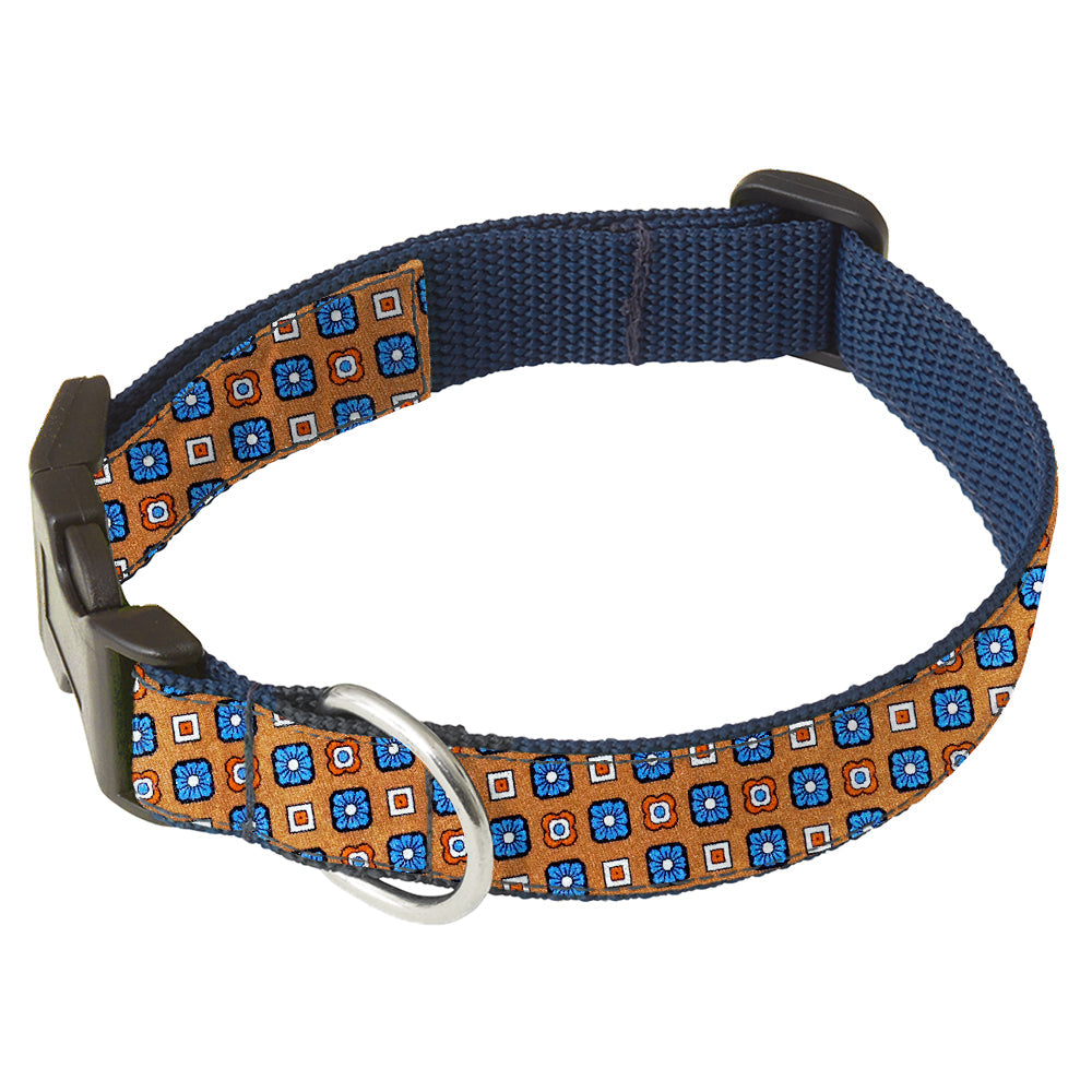 Allasio Dog Collar