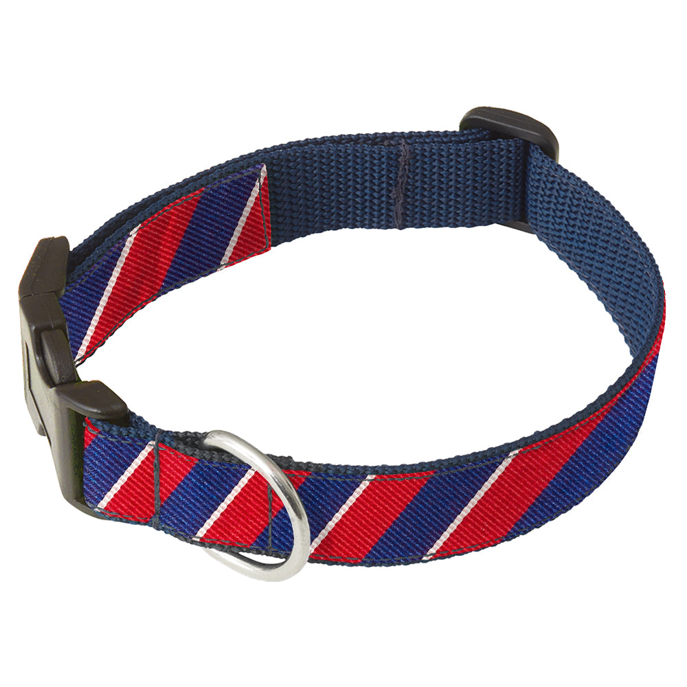 Anthem River Dog Collar