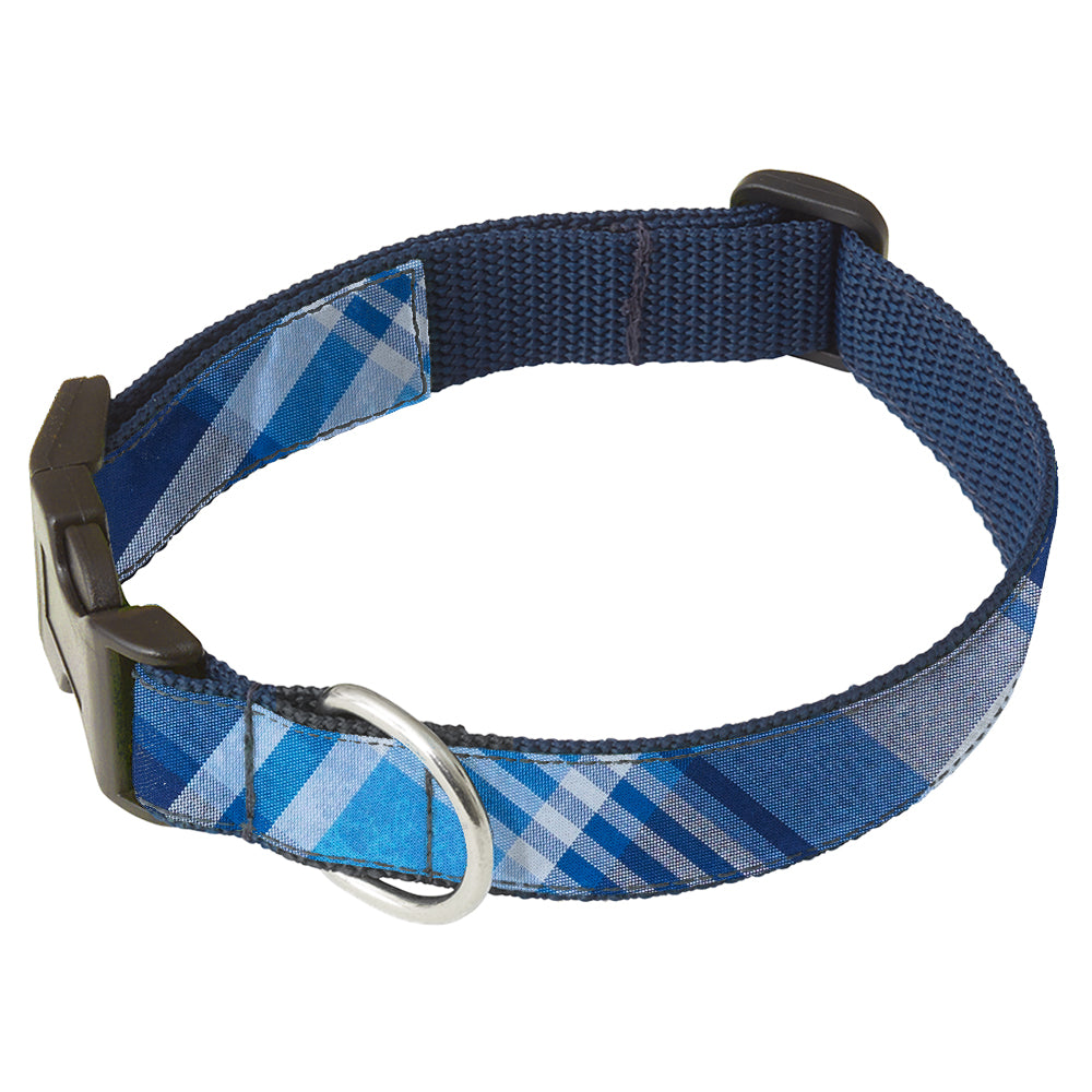 Antero Dog Collar