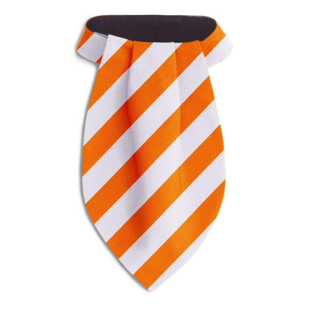 Academy Orange and White Ascots