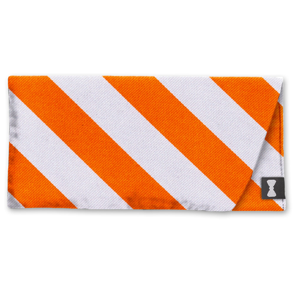 Academy Orange and White Eyeglass Cases
