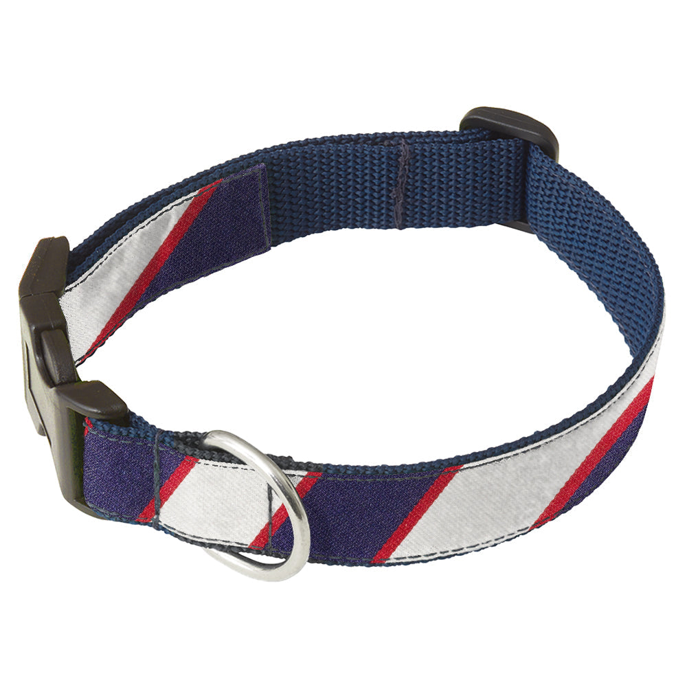 Arlington Dog Collar
