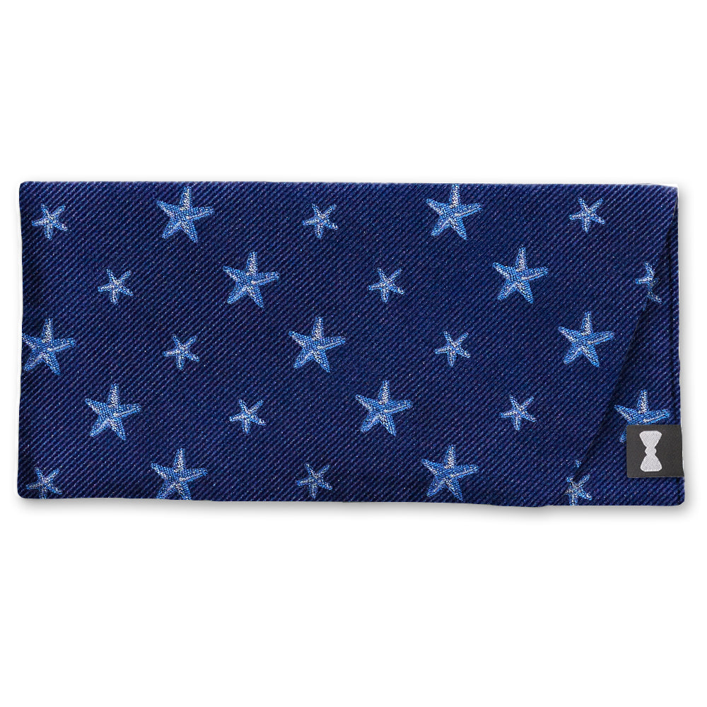 Asteroidea Eyeglass Cases