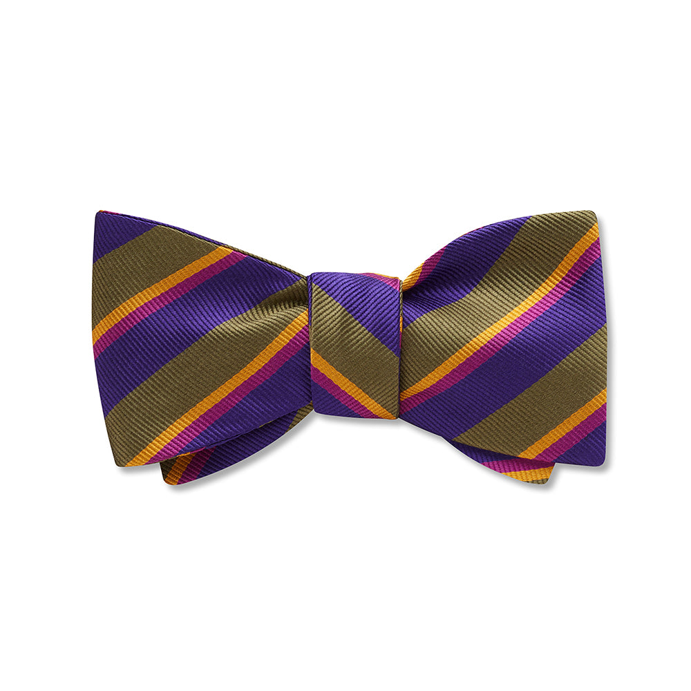 Aylesworth Kids' Bow Ties