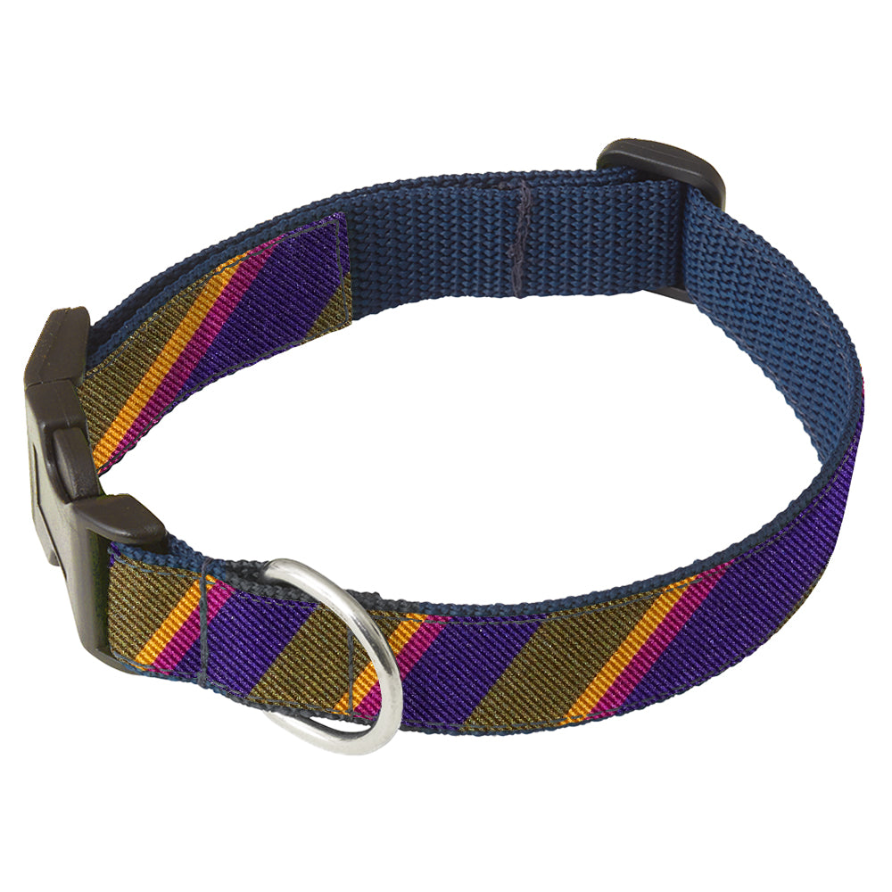 Aylesworth Dog Collar