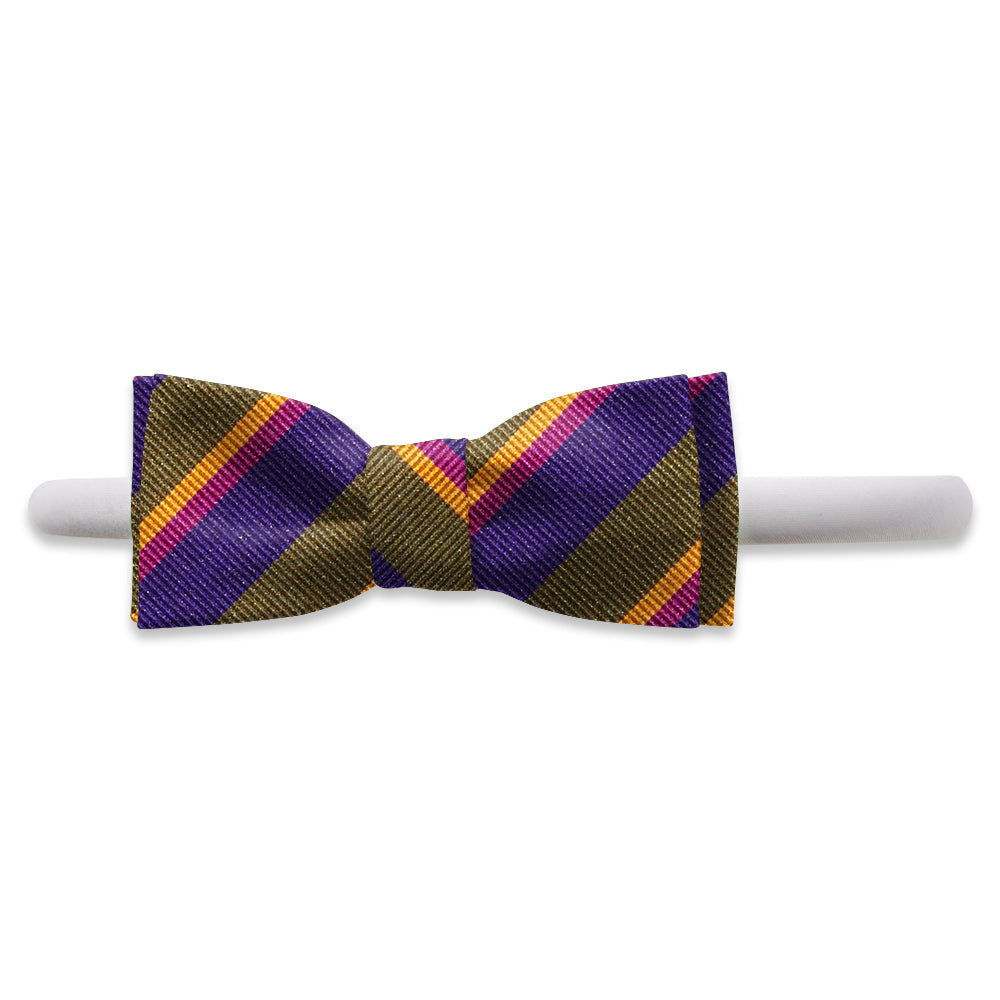Aylesworth Kids Hair Band