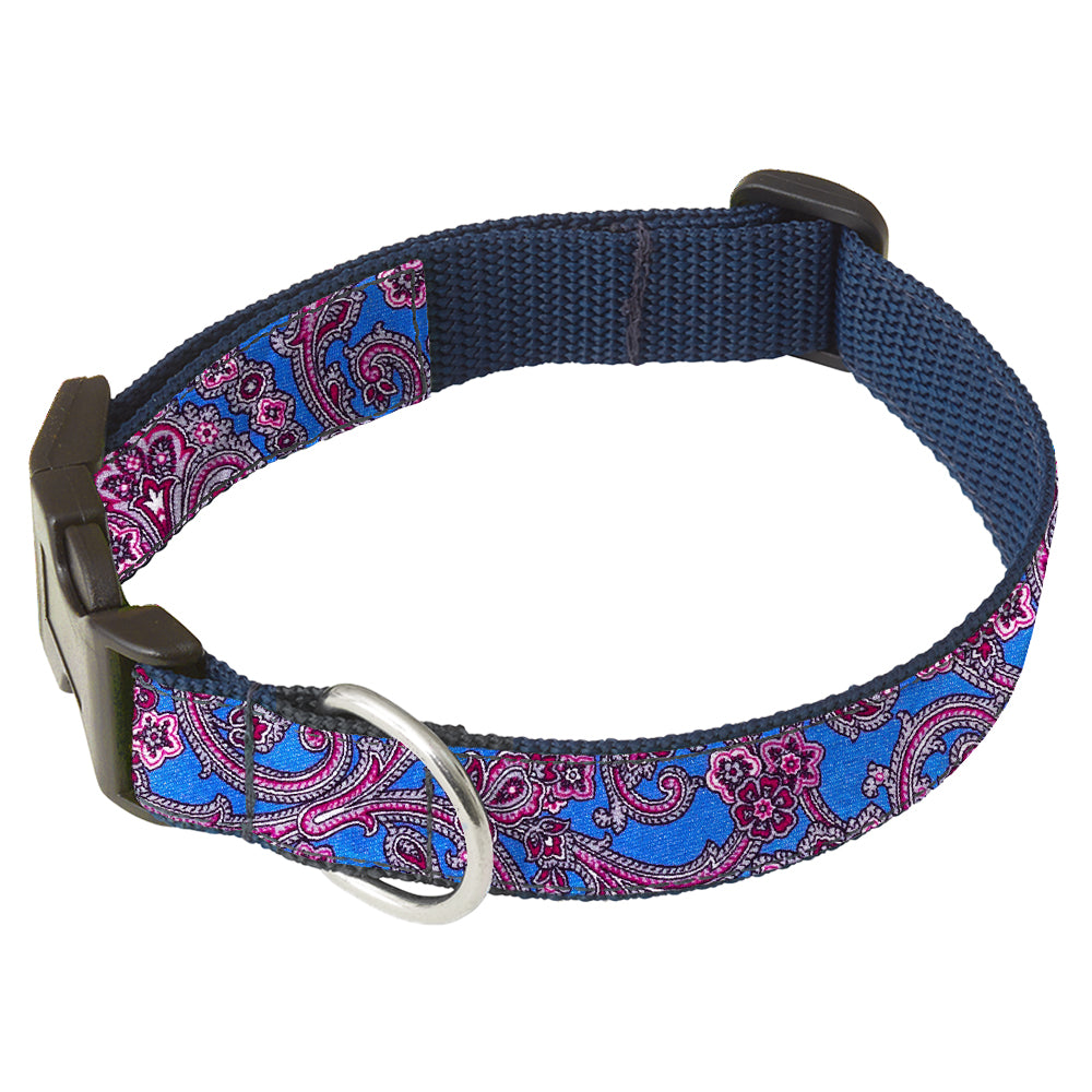 Bellissima Dog Collar