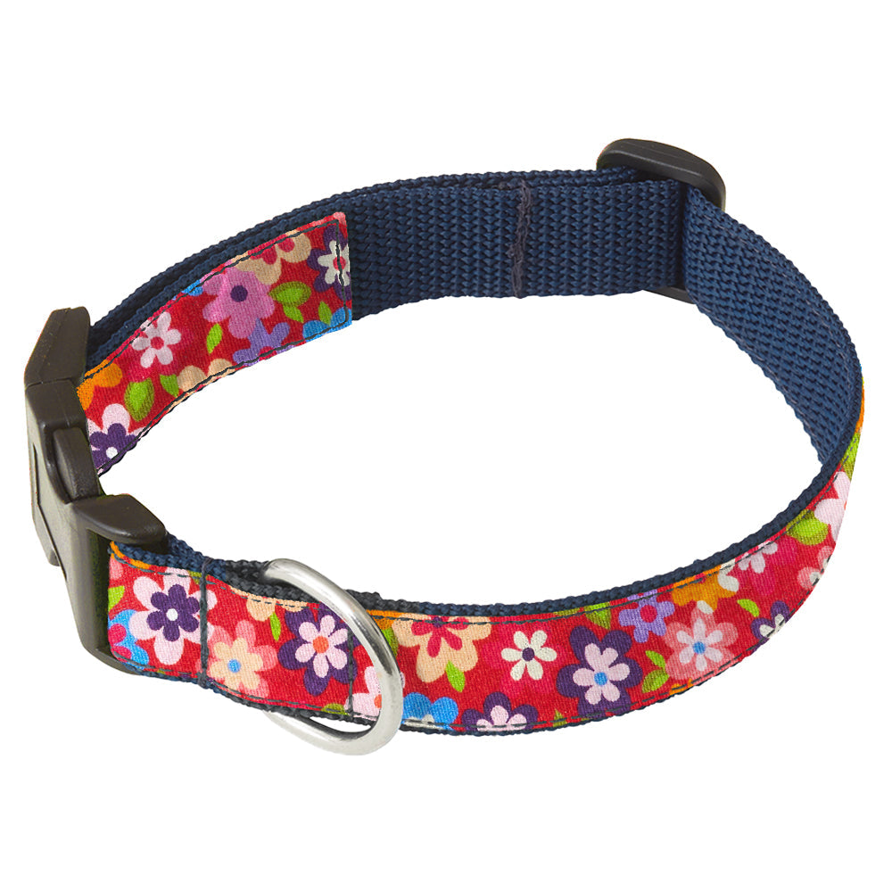 Berkeley Dog Collar