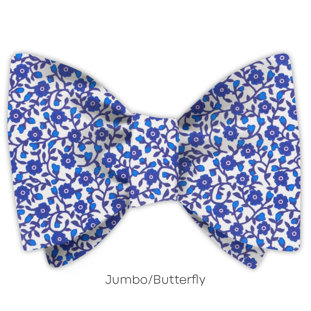 Bonamia - bow ties