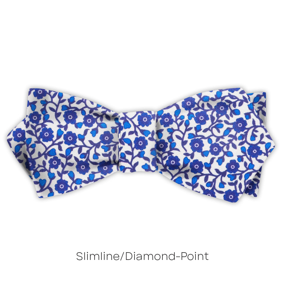 Bonamia - bow ties