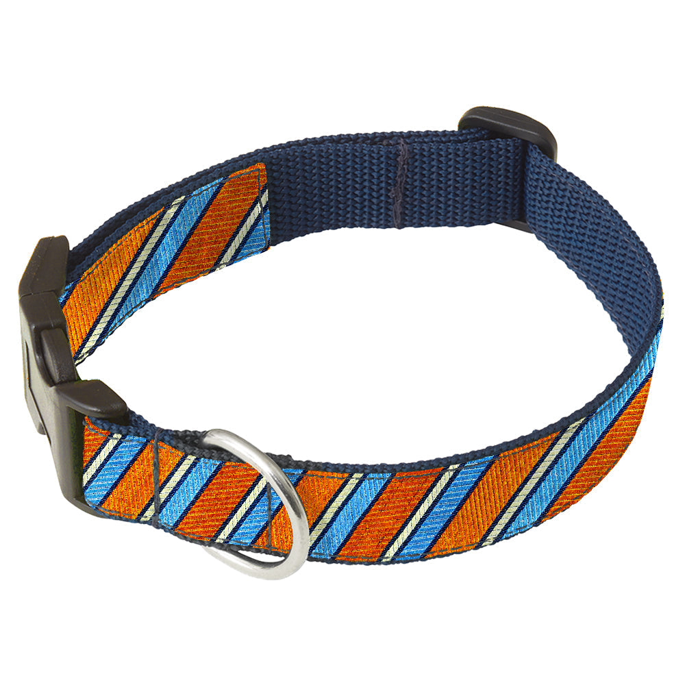 Broward Dog Collar