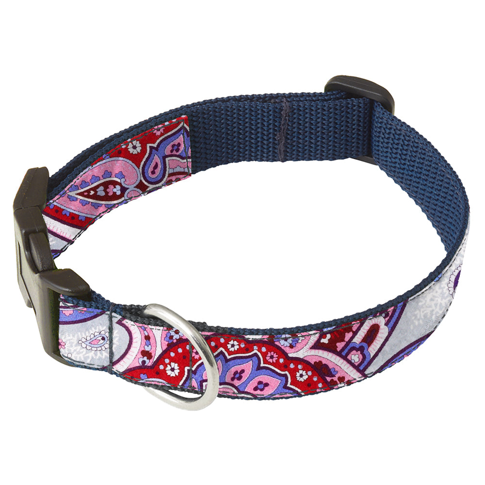 Barshaw Silver - Dog Collar