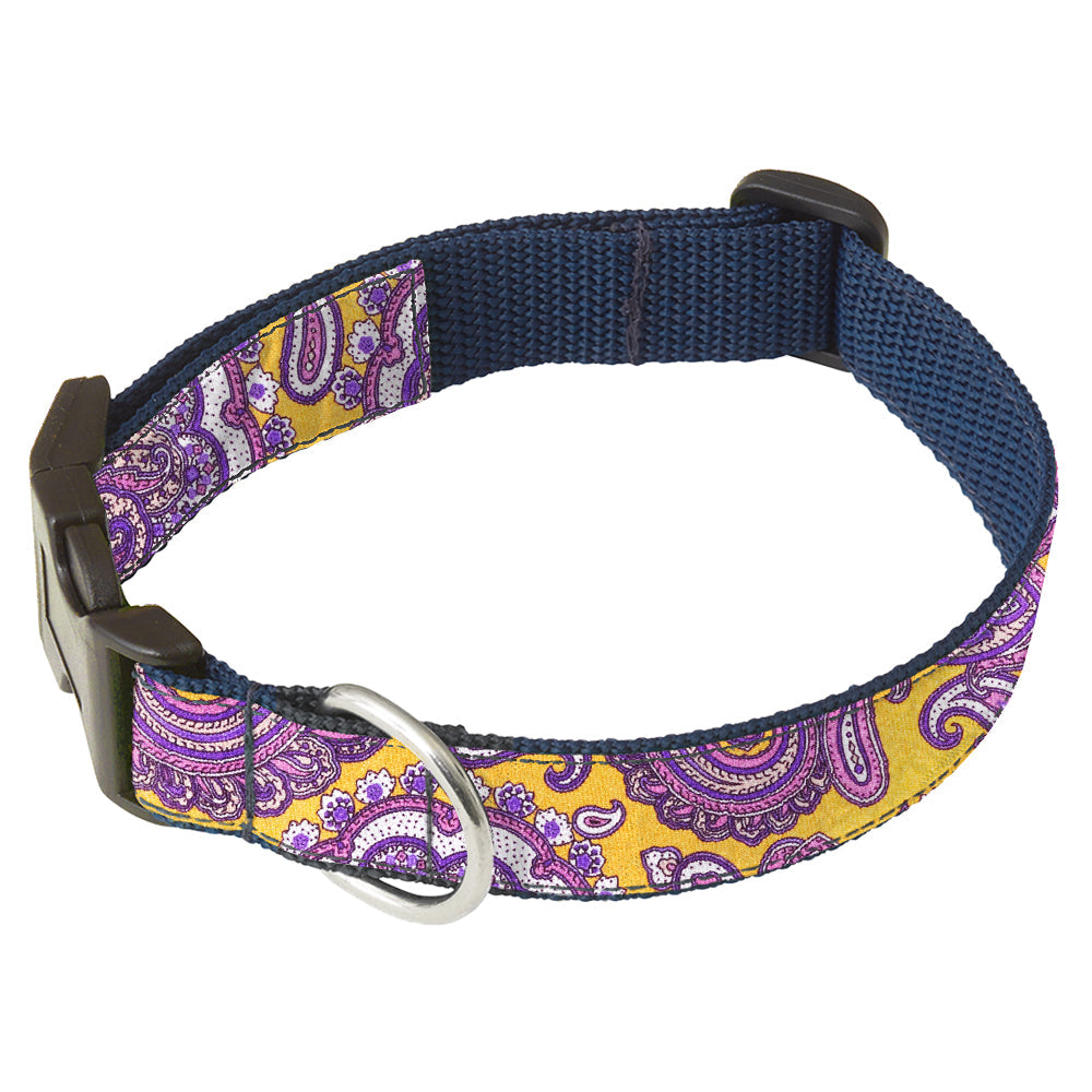 Carnevale Dog Collar