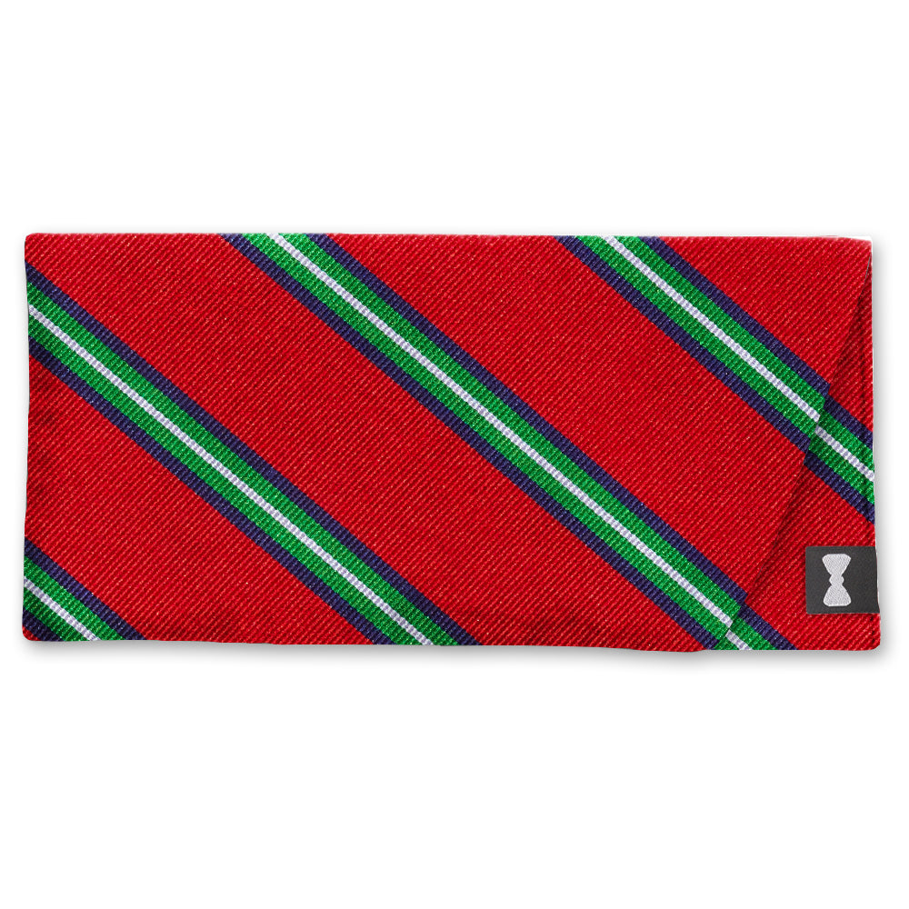 Christmas Creek Eyeglass Cases