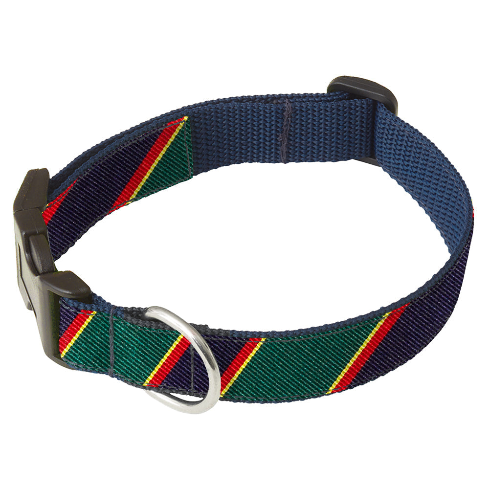 Clifton Dog Collar