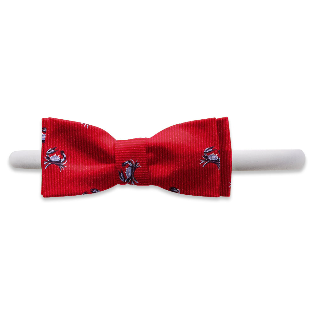 Chesapeake Kids Hair Band