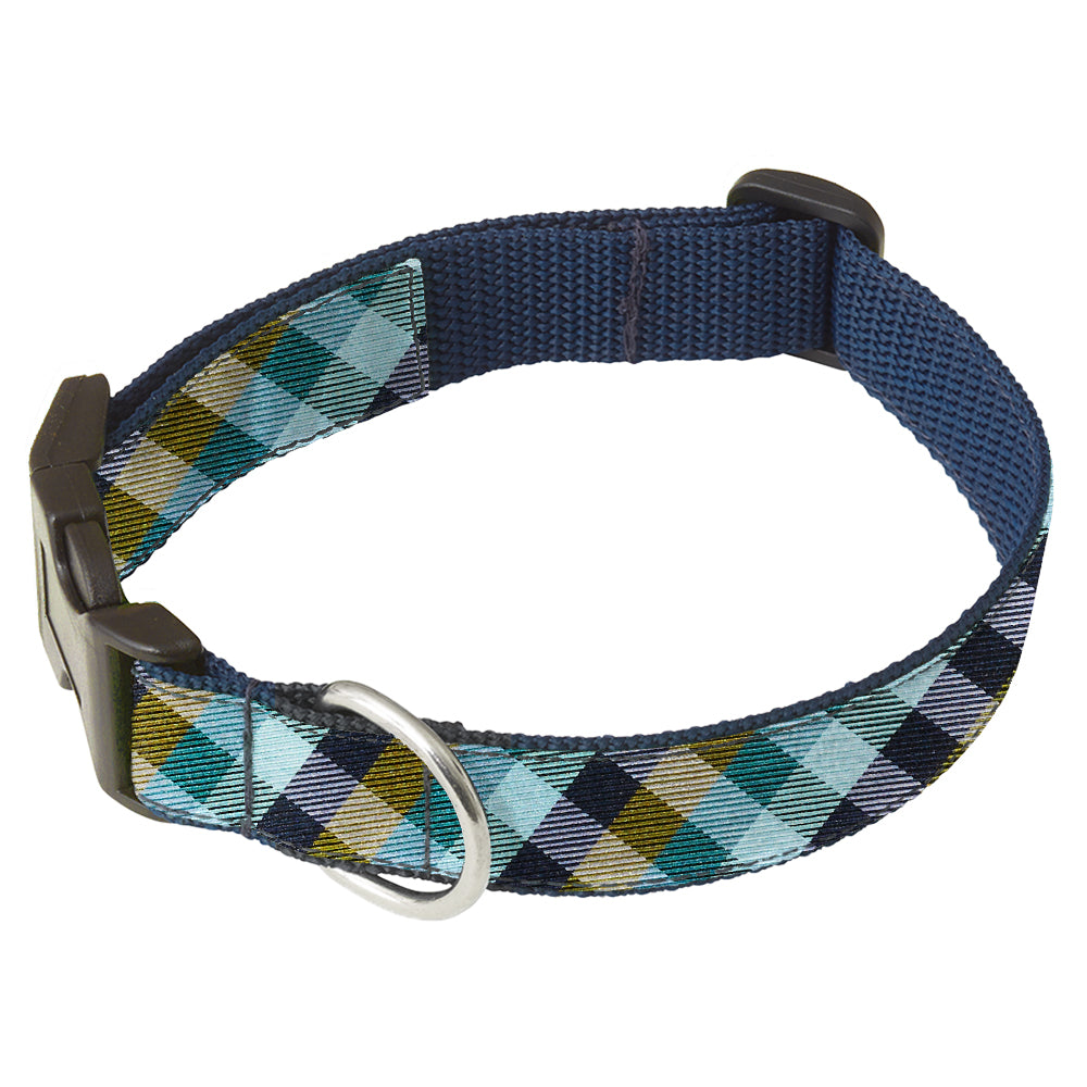 Claremont Square Dog Collar