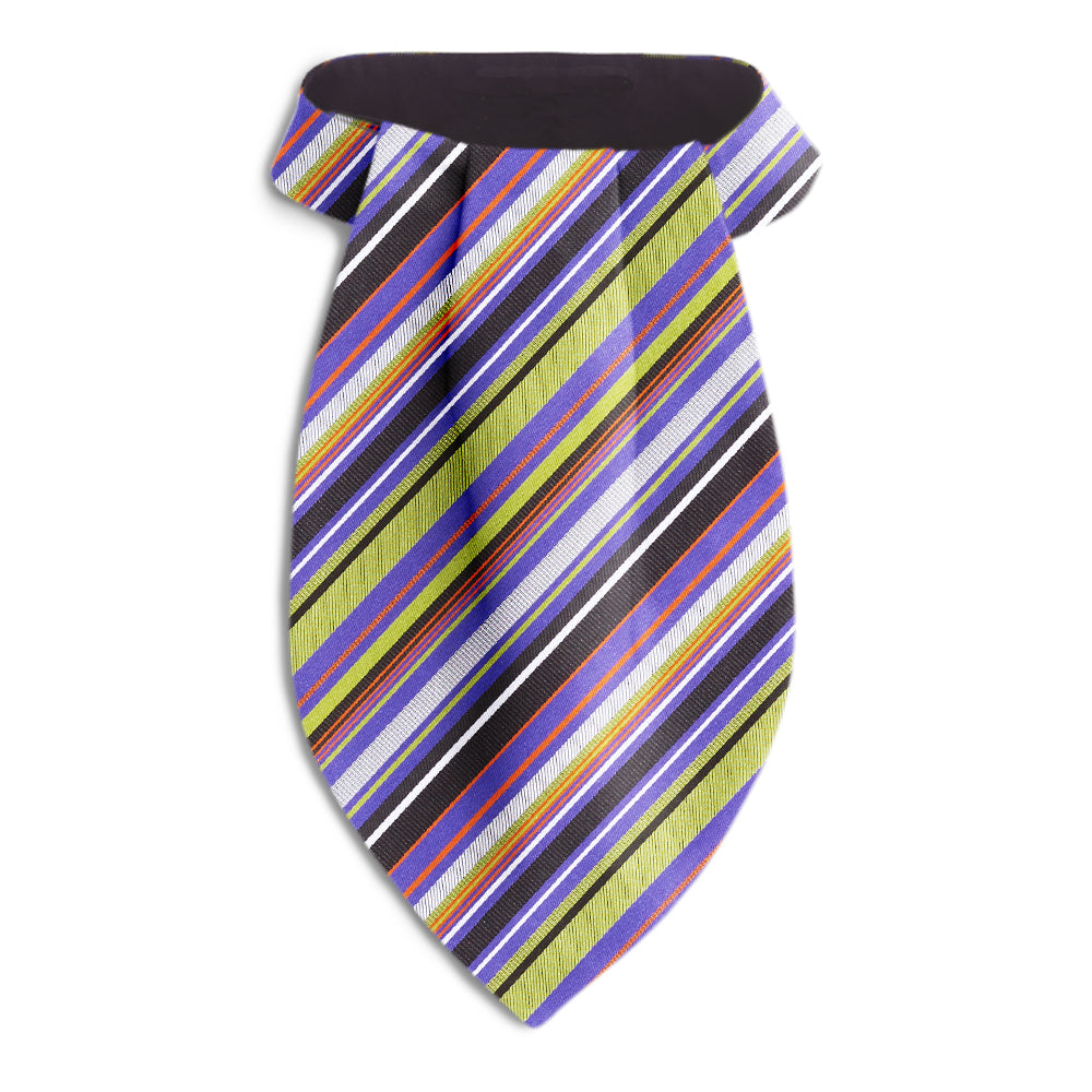 Claybank Creek Ascots