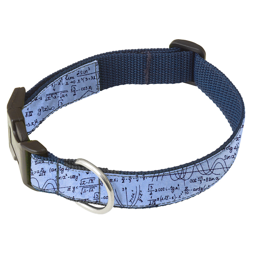 Calculation Dog Collar