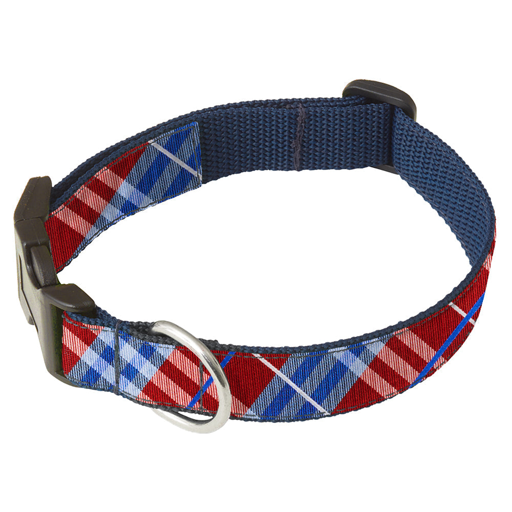 Cozumel Dog Collar