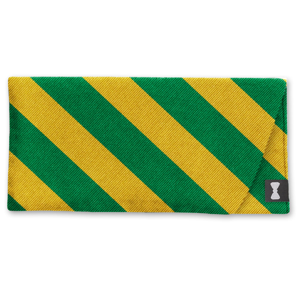 Collegiate Green and Gold Eyeglass Cases