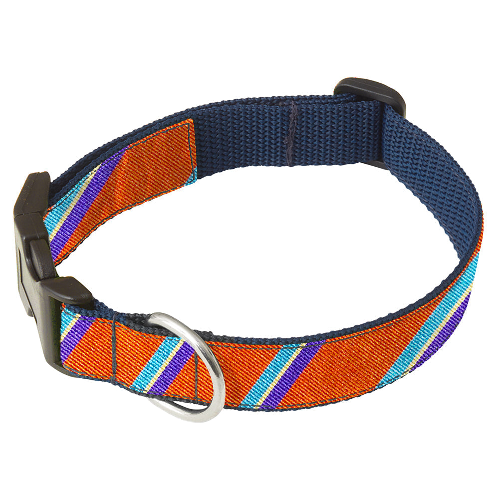 Coniston Dog Collar