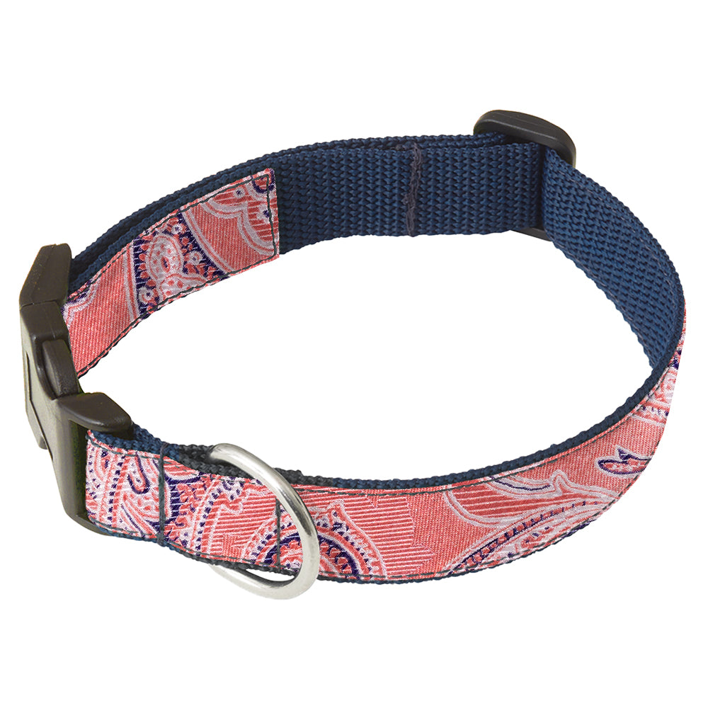 Coral Bay Dog Collar