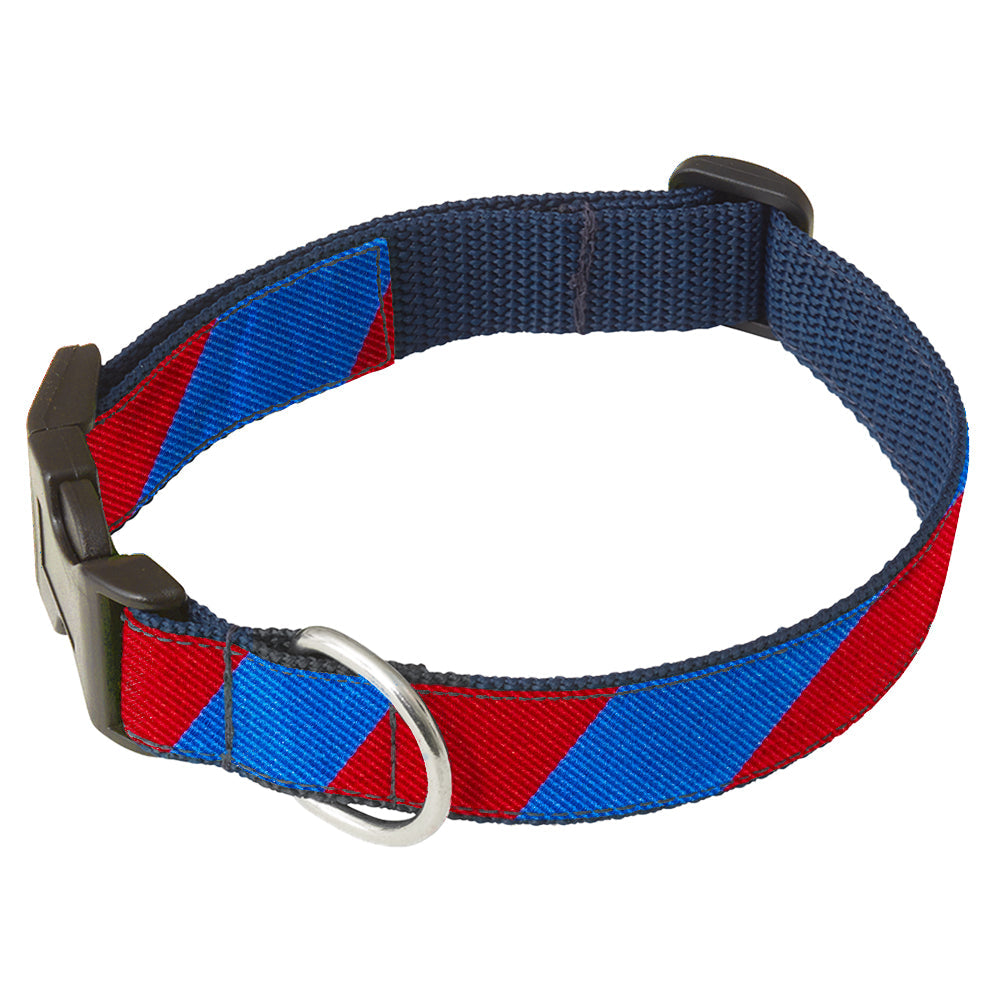 Collegiate Royal and Red Dog Collar