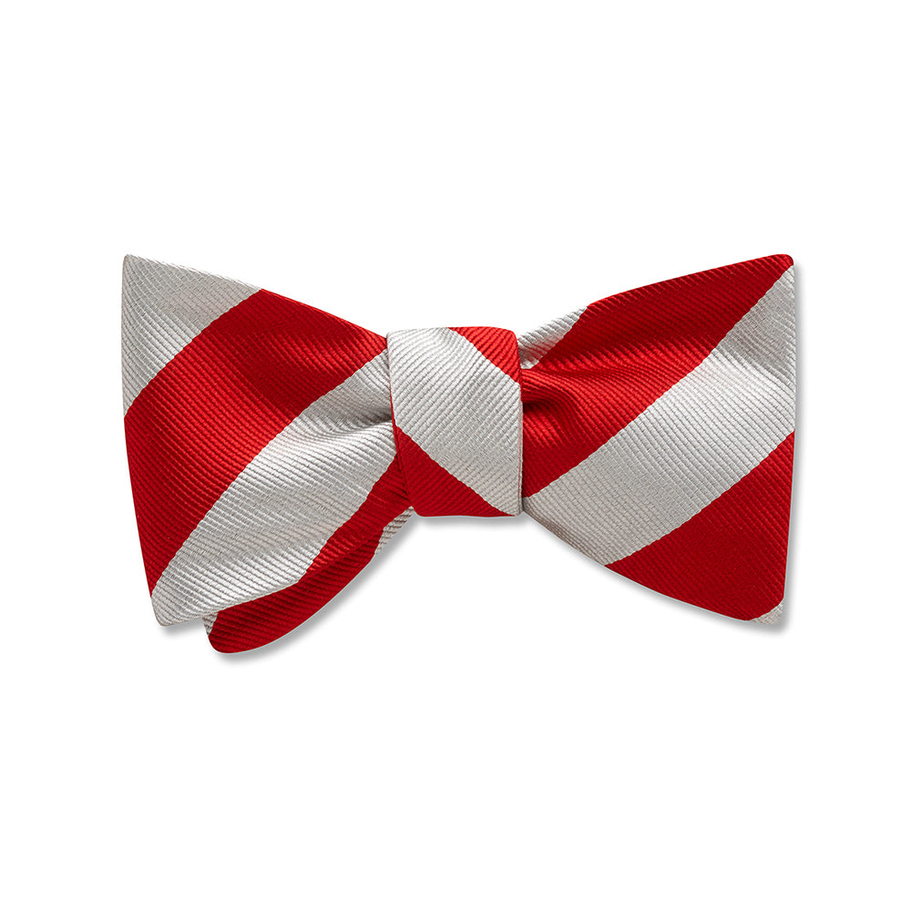 Collegiate Red and Silver Kids' Bow Ties