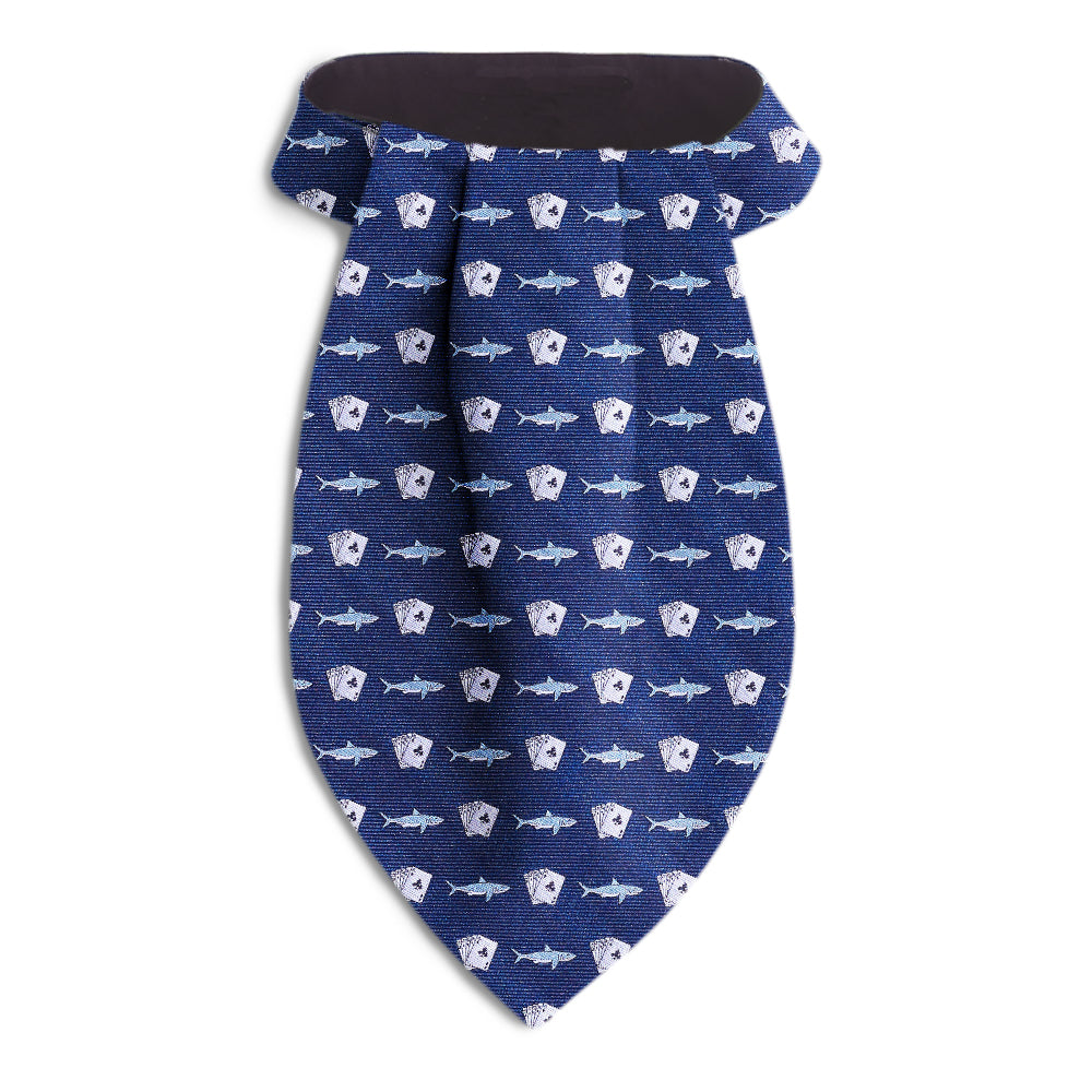Card Shark Ascots