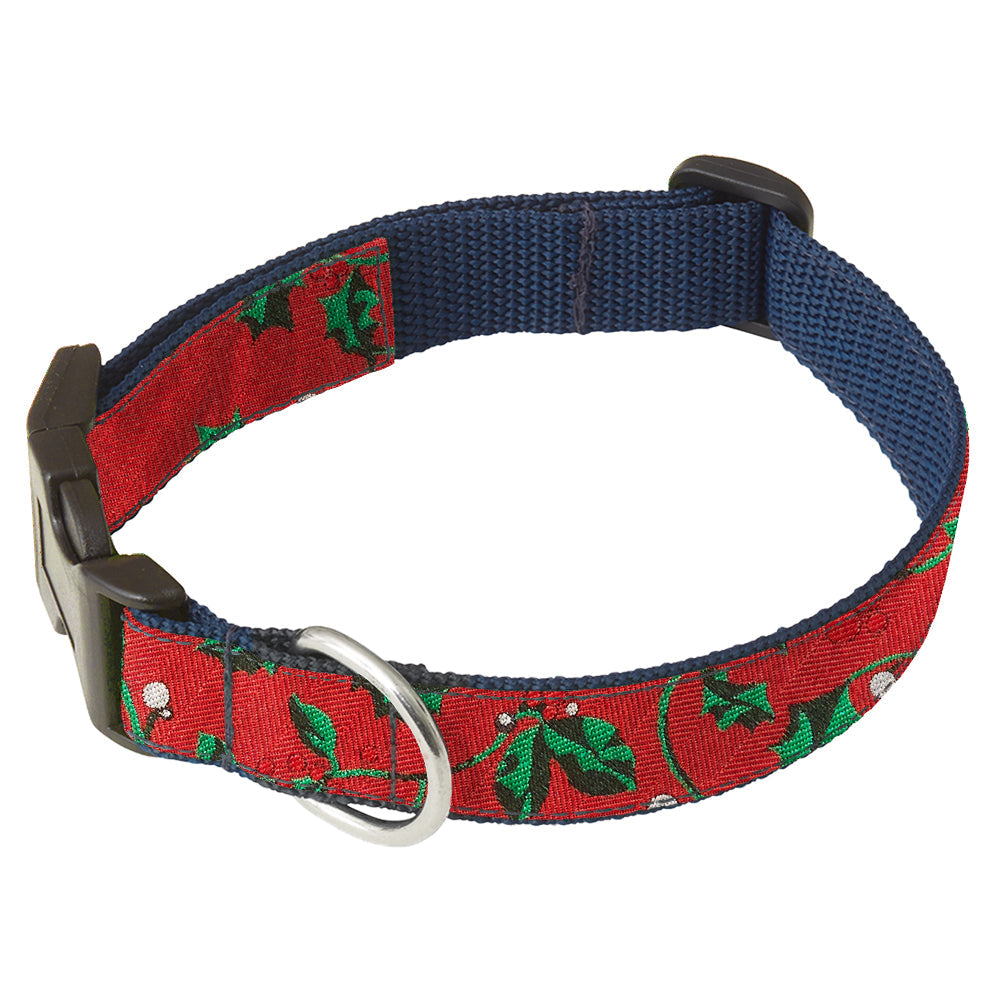 Cuileann Dog Collar