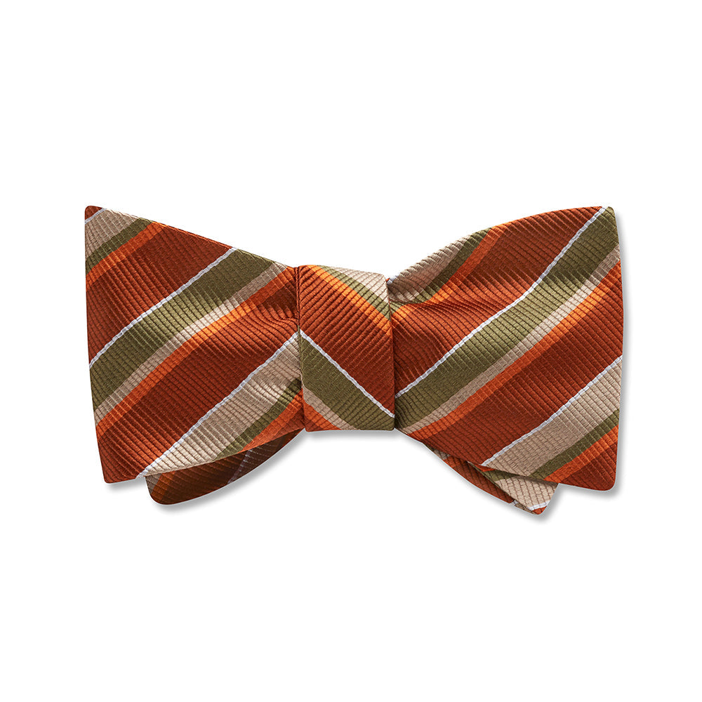 Dundonnel Kids' Bow Ties