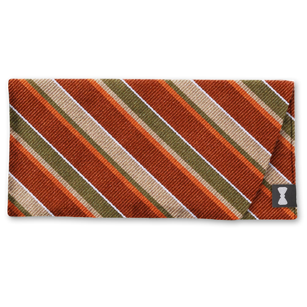 Dundonnel Eyeglass Cases