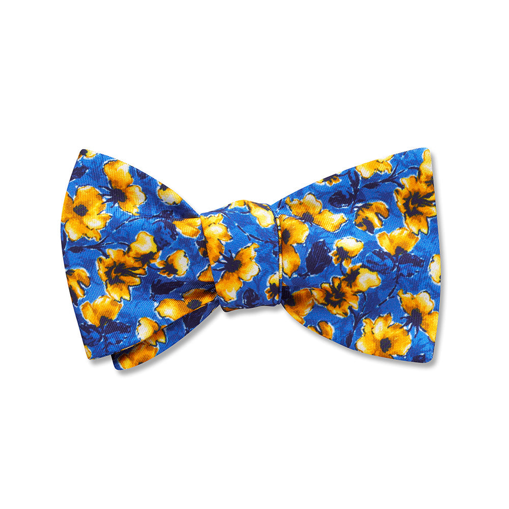Dunaway Kids' Bow Ties