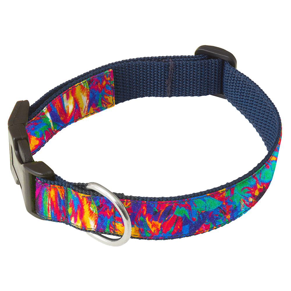 Edonton Dog Collar