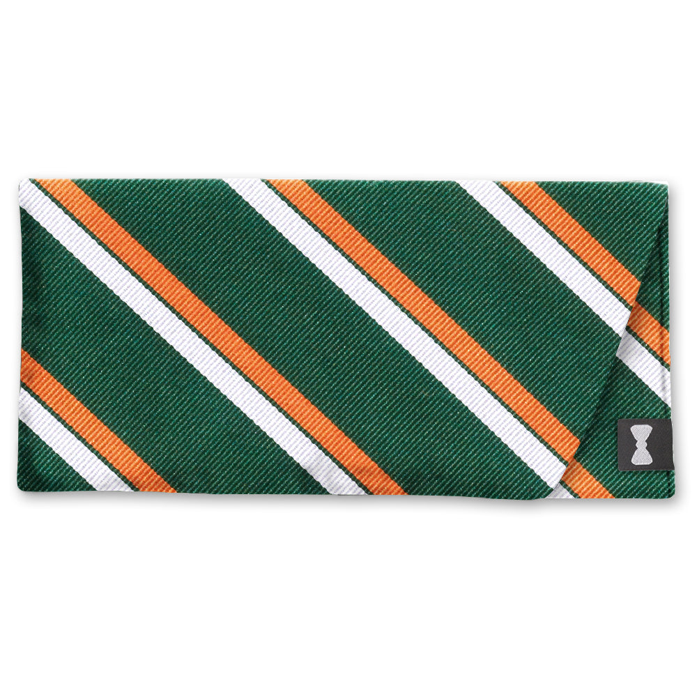 Forest Canyon Eyeglass Cases