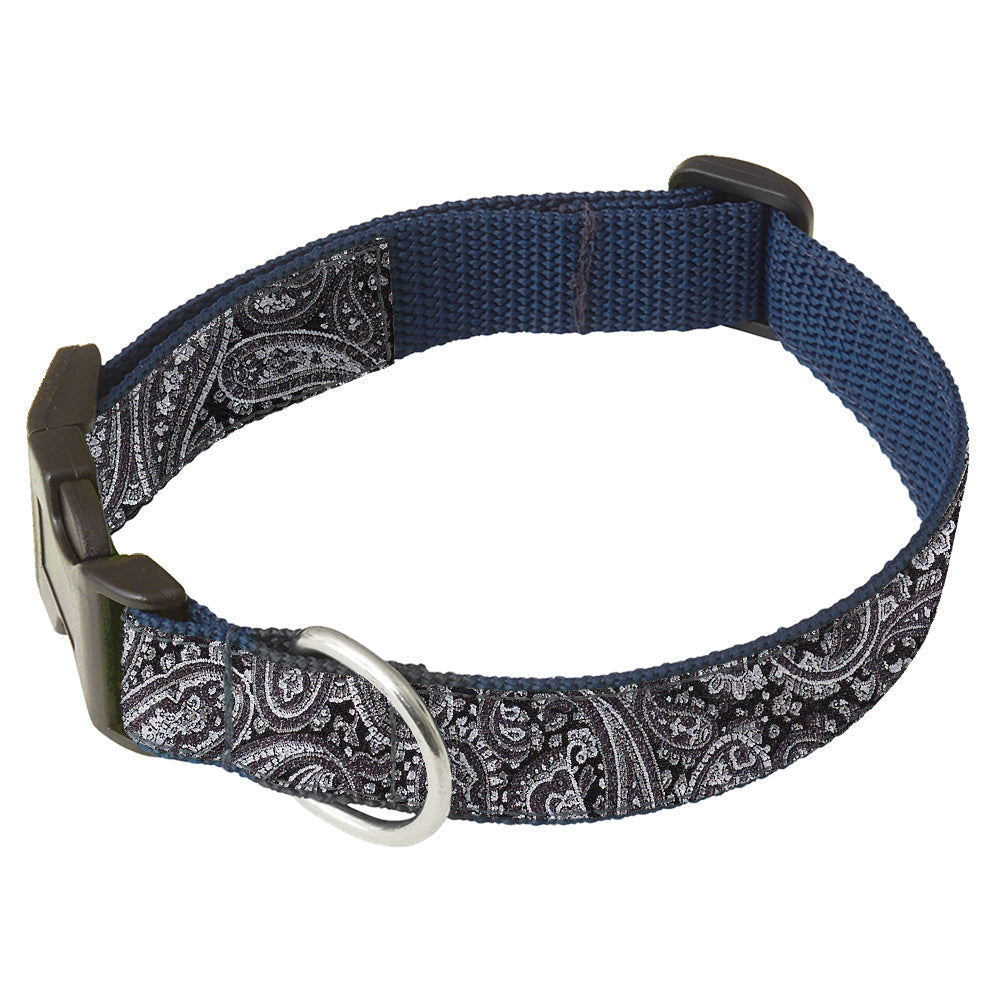 Fjord Silver Dog Collar
