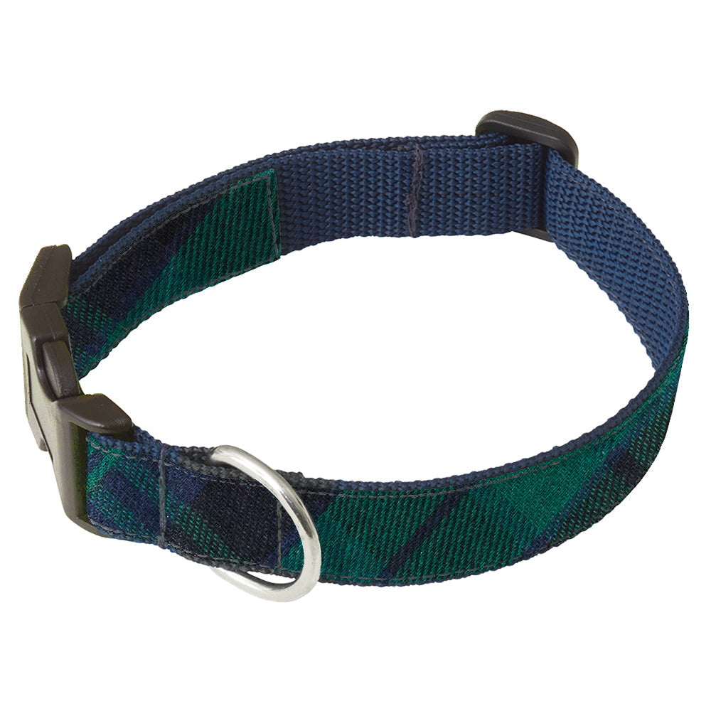 Forest Solstice Dog Collar