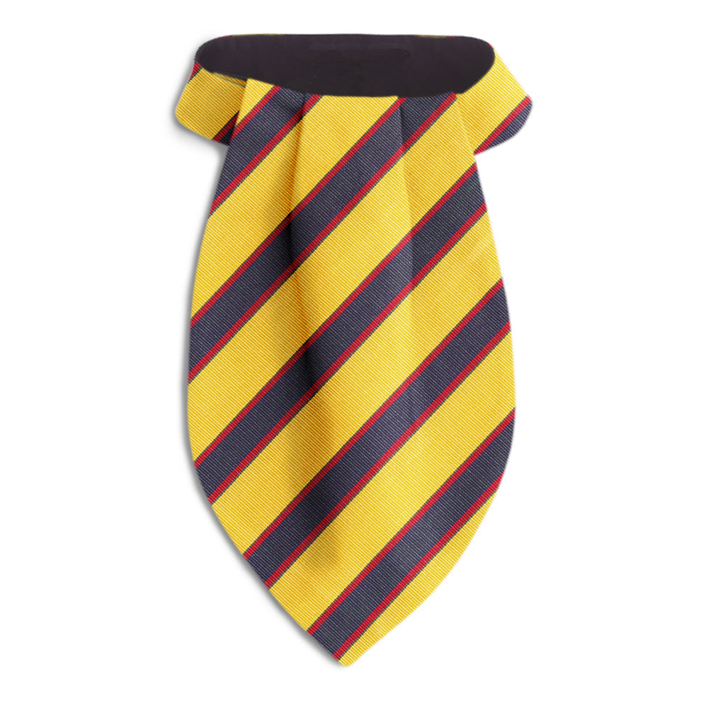 Goodwin Ascots by Beau Ties of Vermont