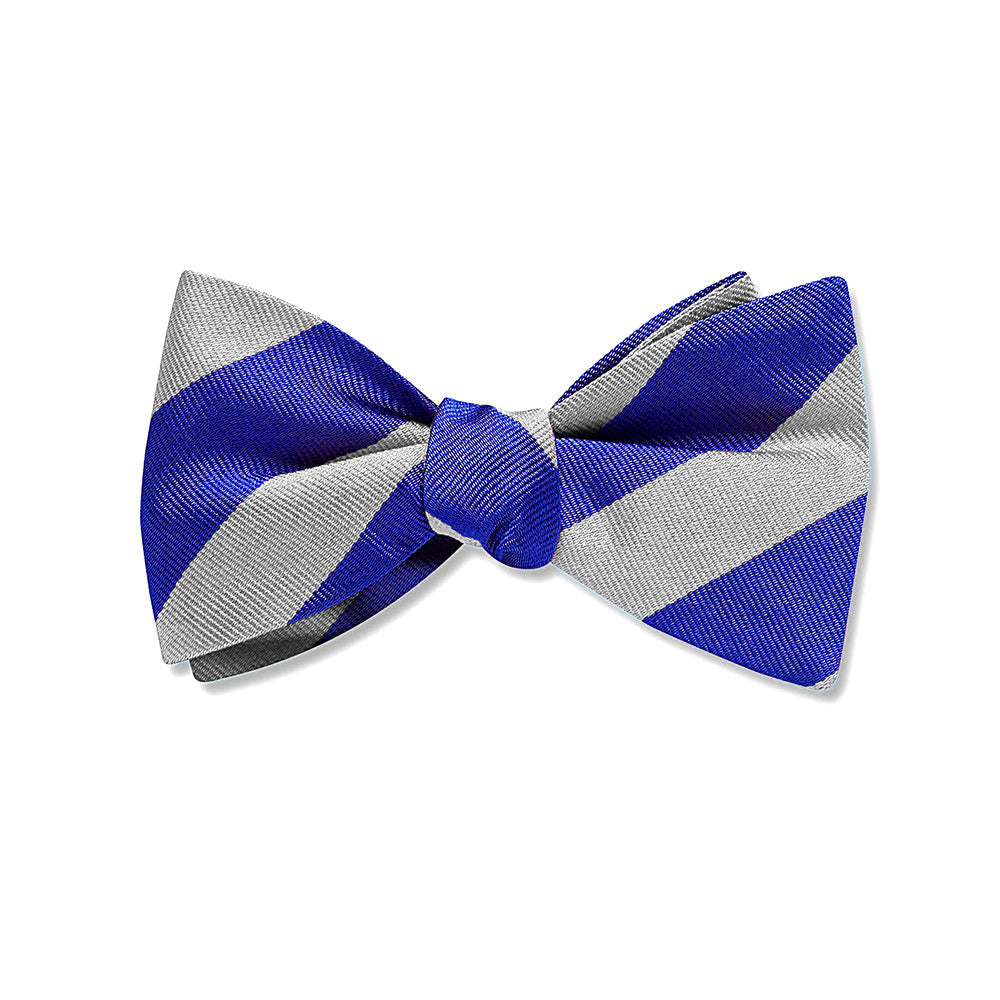 Collegiate Grey and Blue Kids' Bow Ties