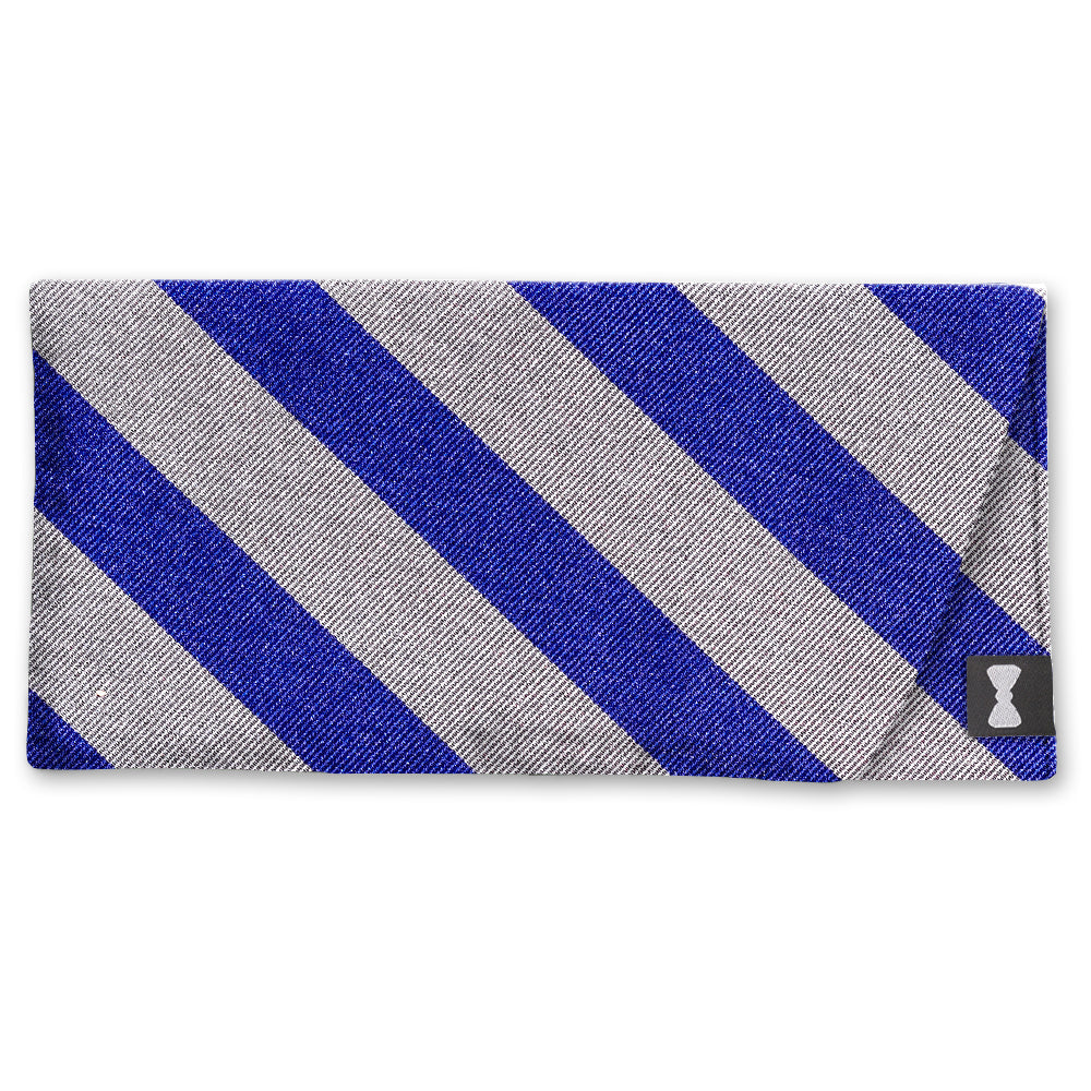 Collegiate Grey and Blue Eyeglass Cases