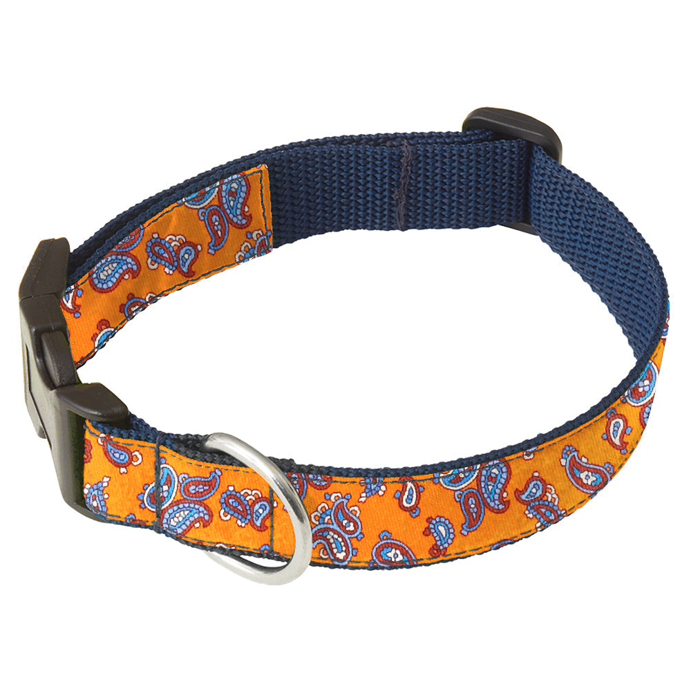 Ischitella Dog Collar