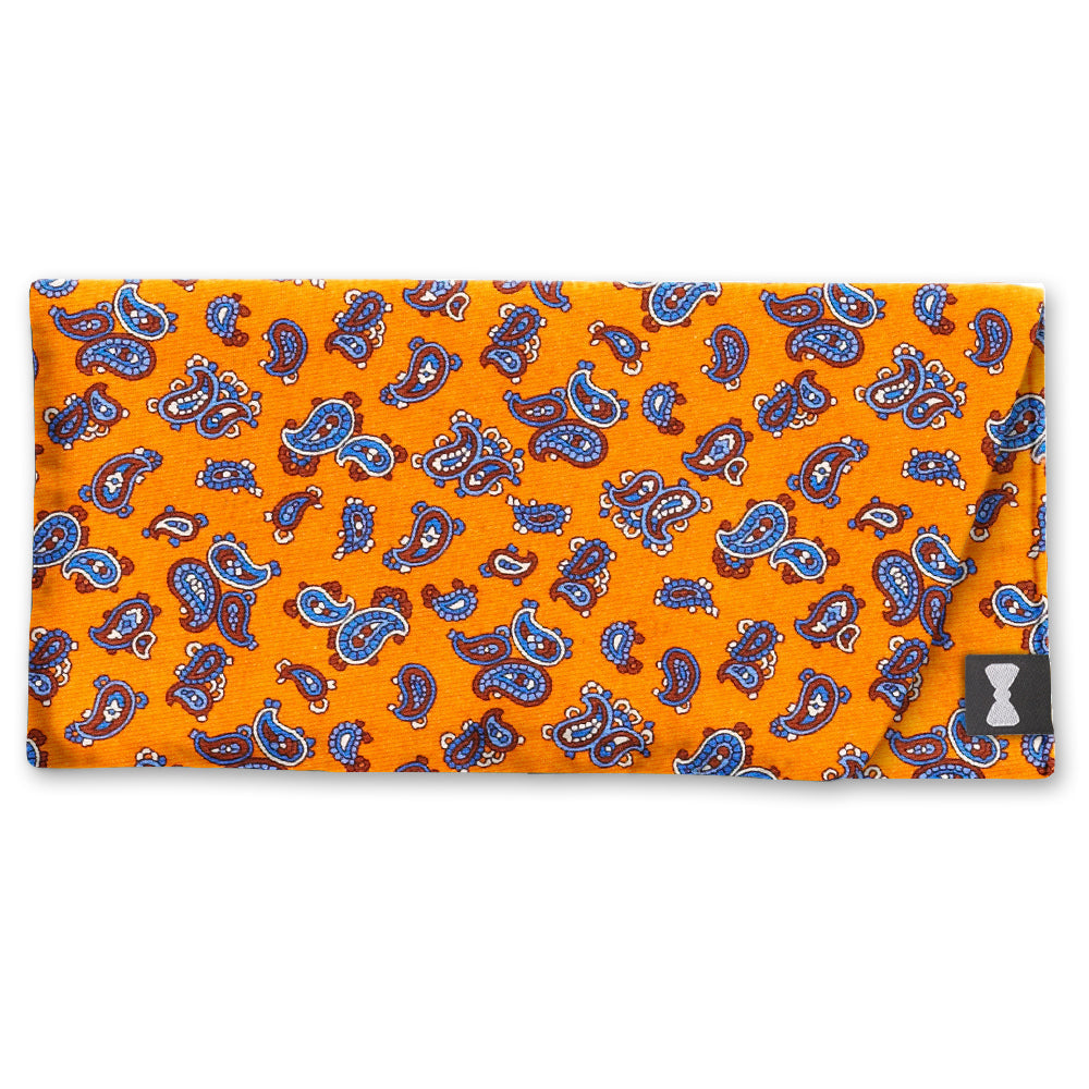 Ischitella Eyeglass Cases