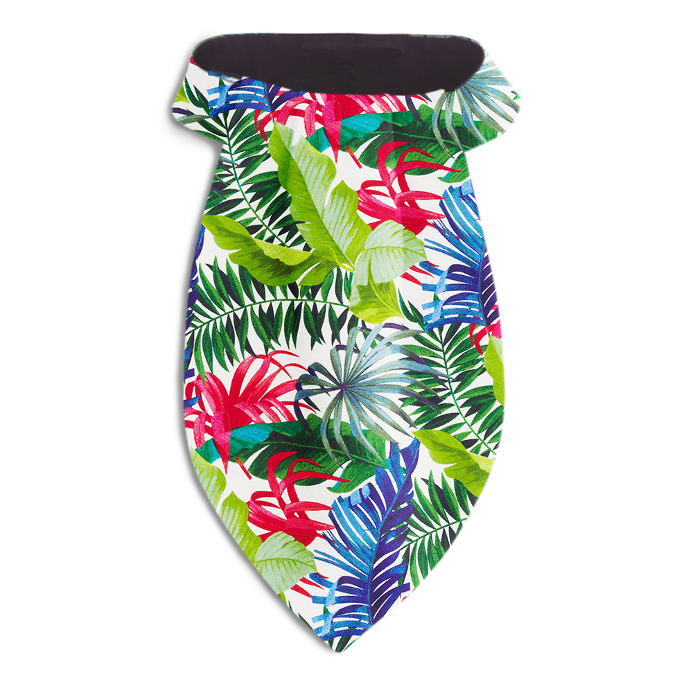 Jungle Ascots