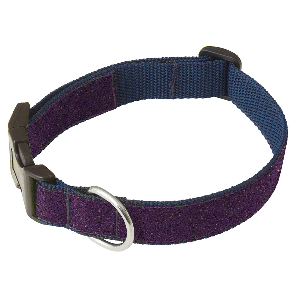 Kingston Dog Collar