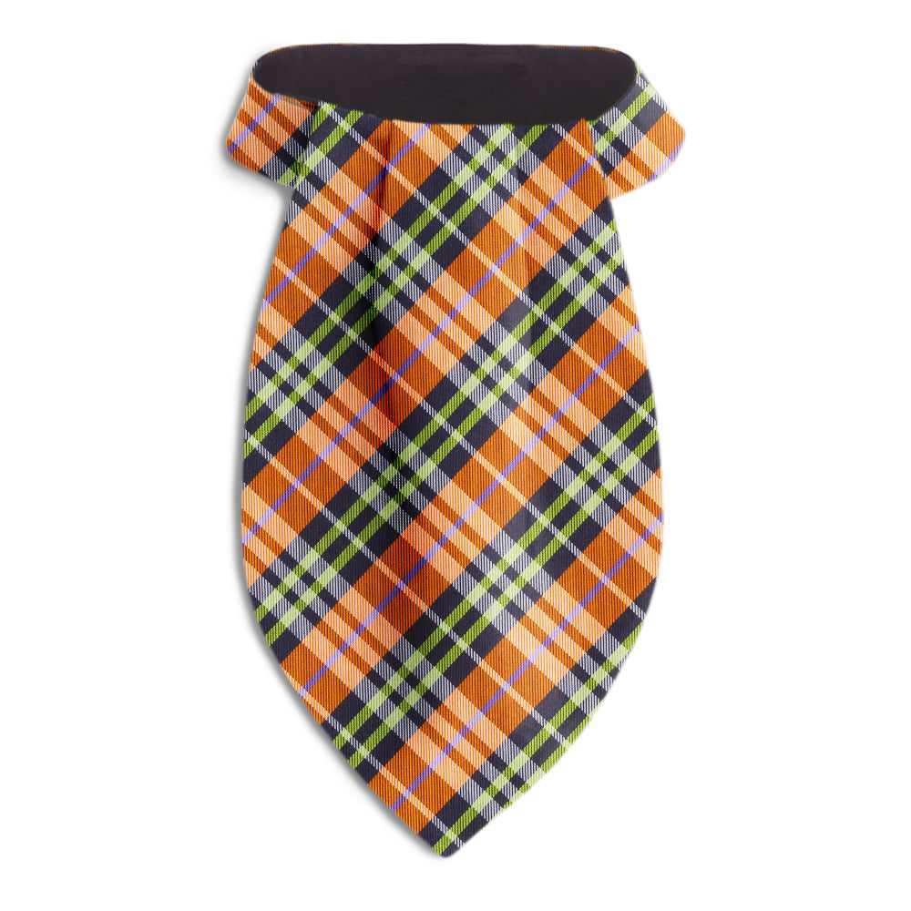 Lindores Ascots