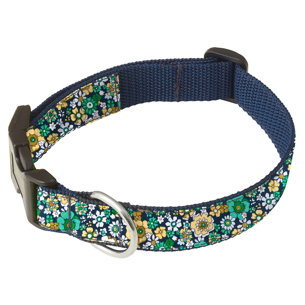Leasmore Dog Collar